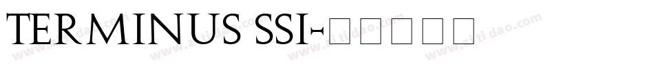 Terminus SSi字体转换